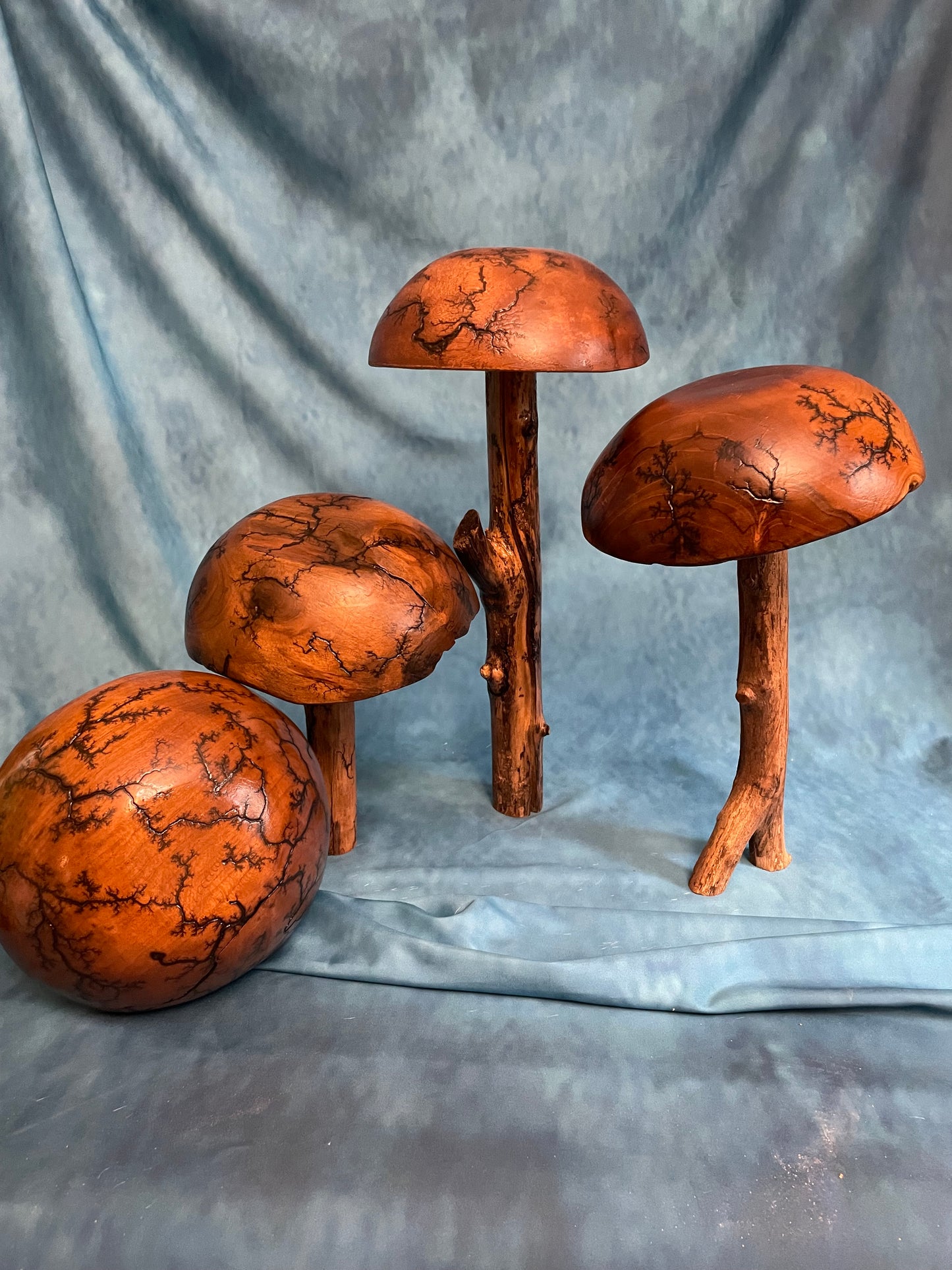 Teak Mushroom