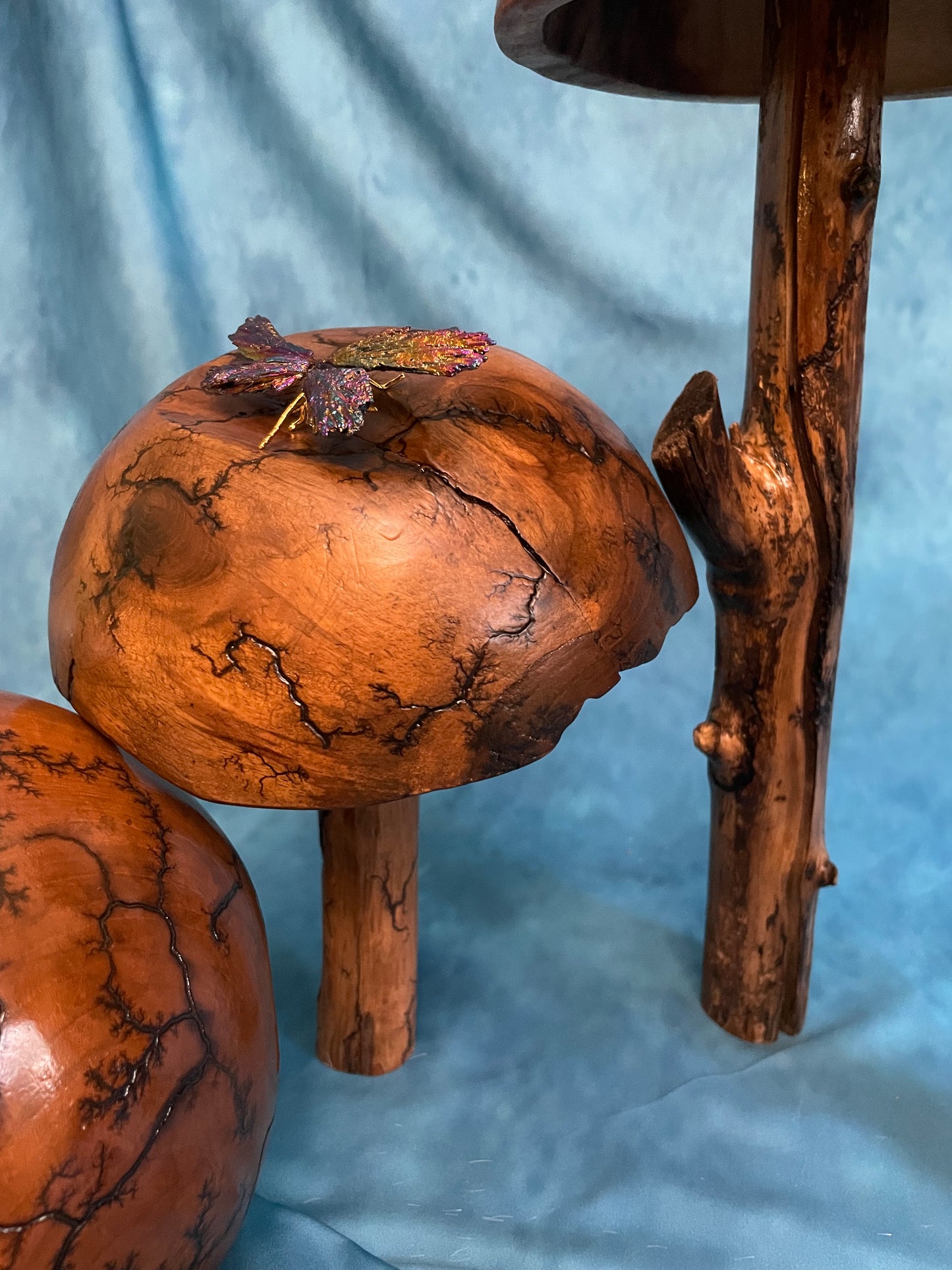 Teak Mushroom