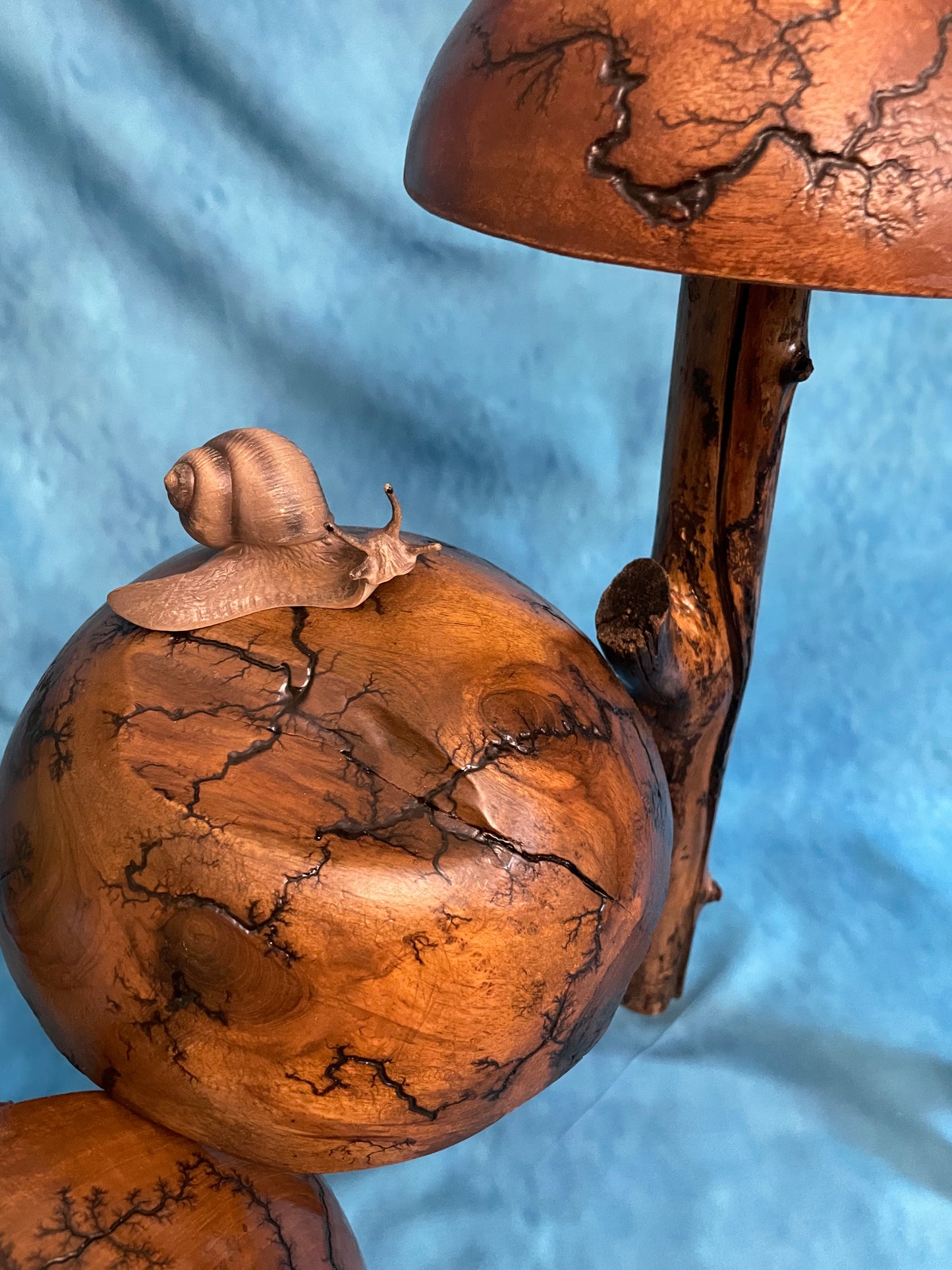 Teak Mushroom