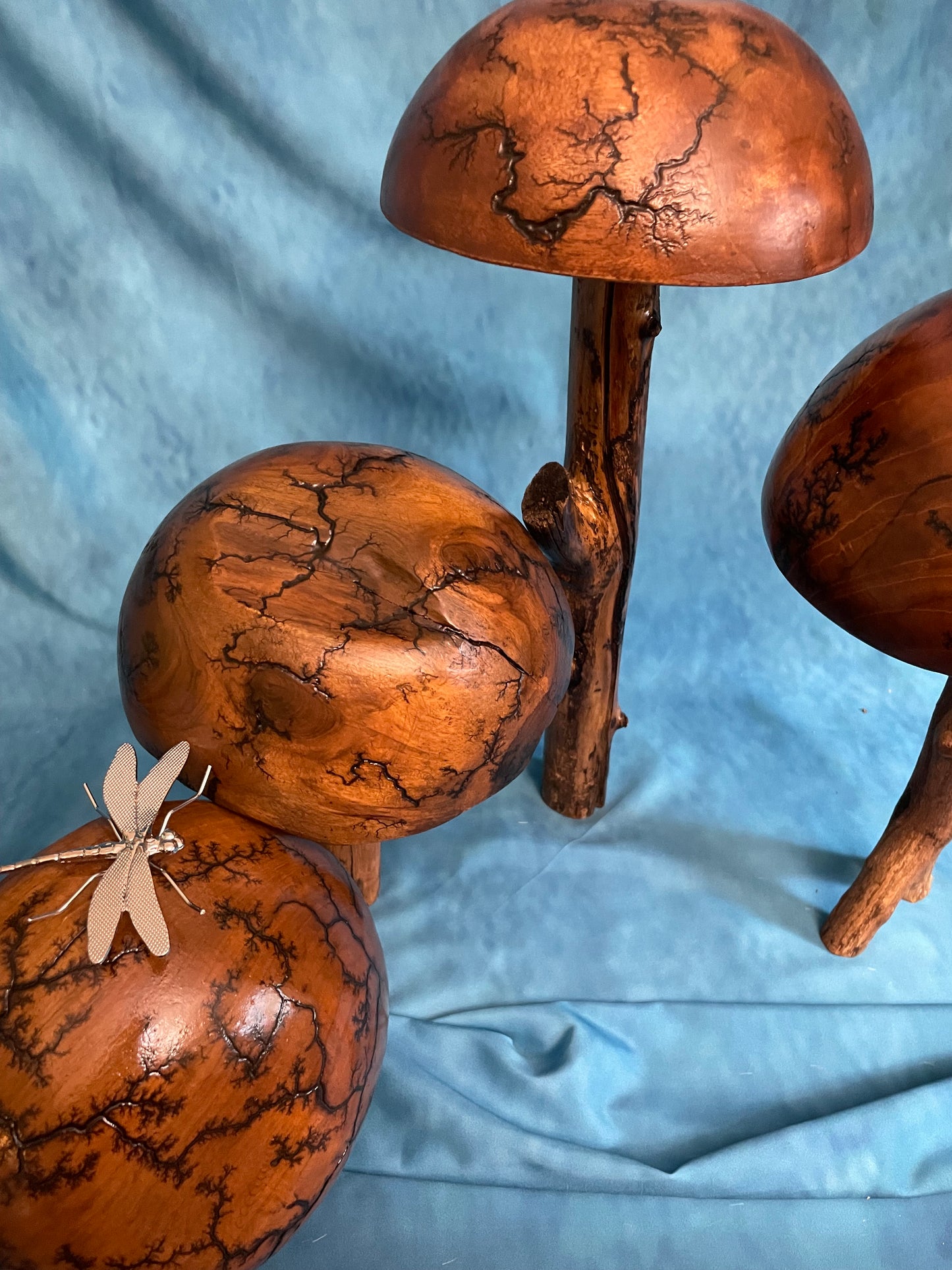 Teak Mushroom