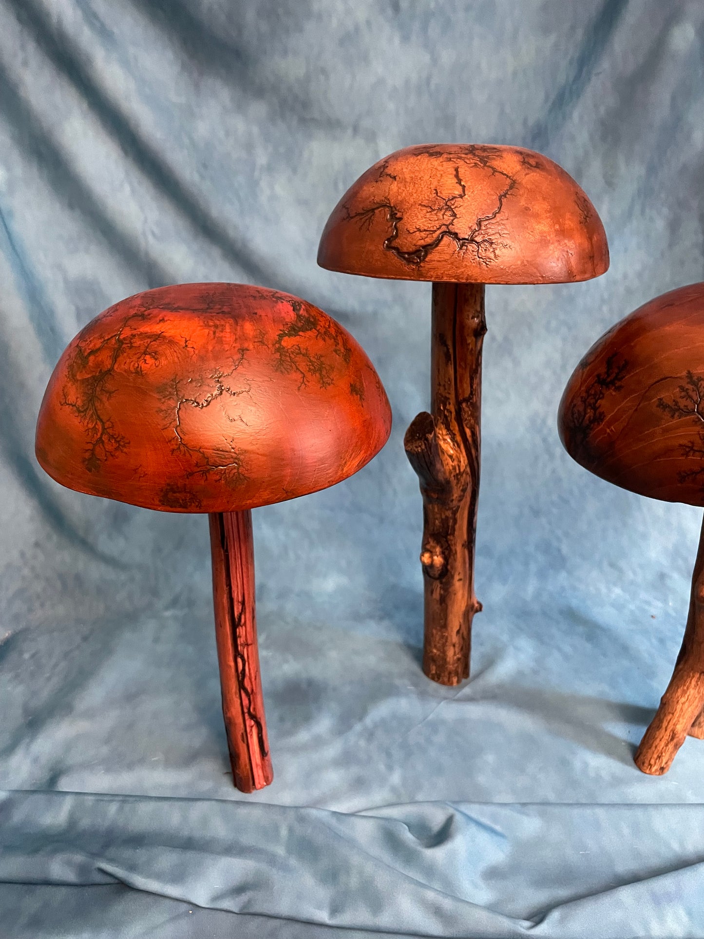 Teak Mushroom