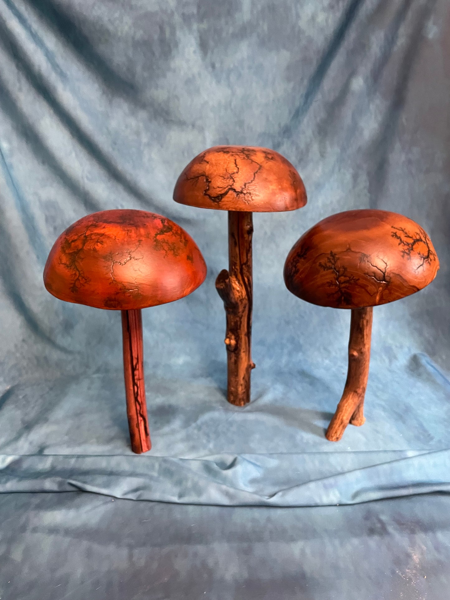 Teak Mushroom