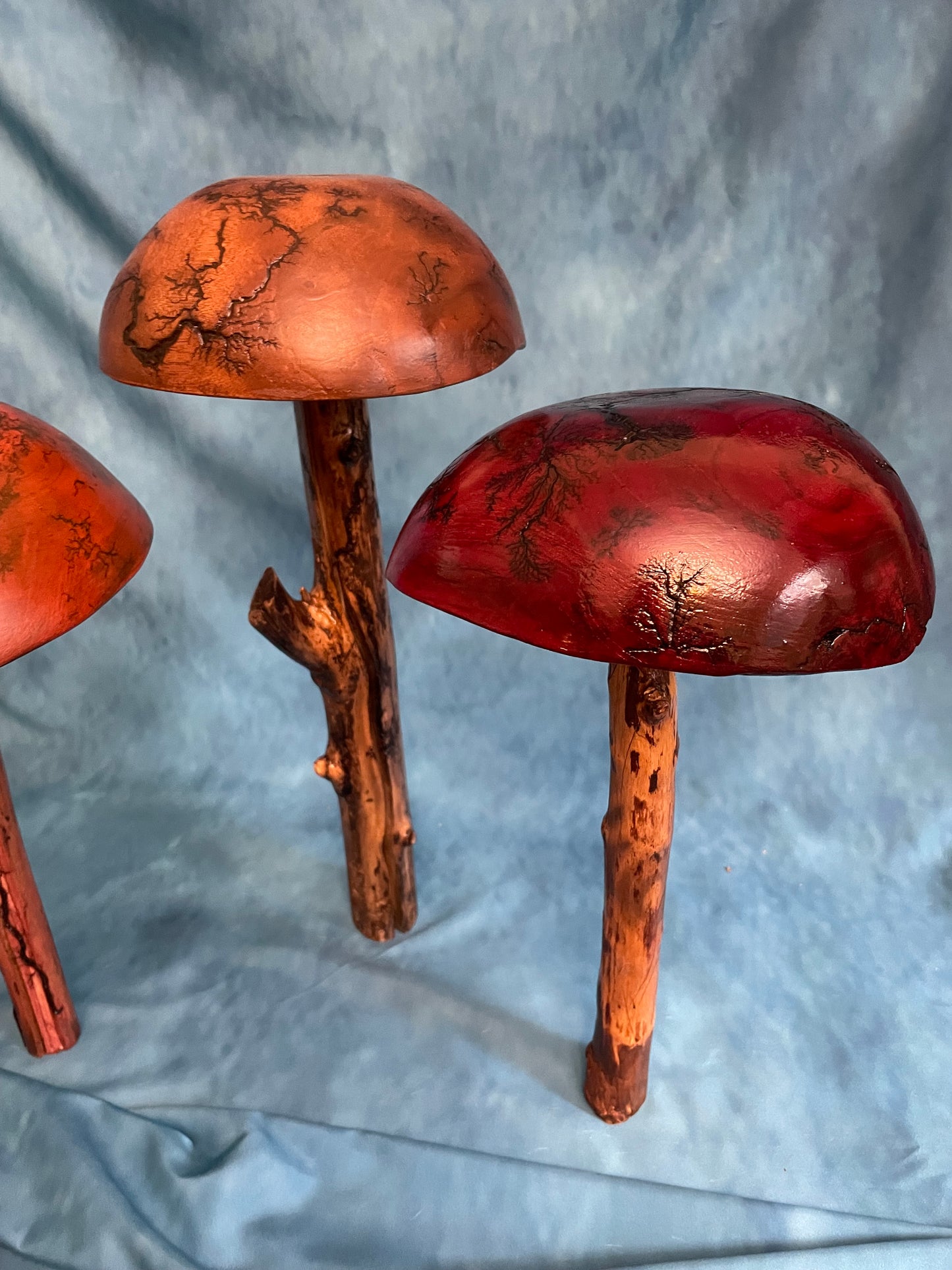 Teak Mushroom