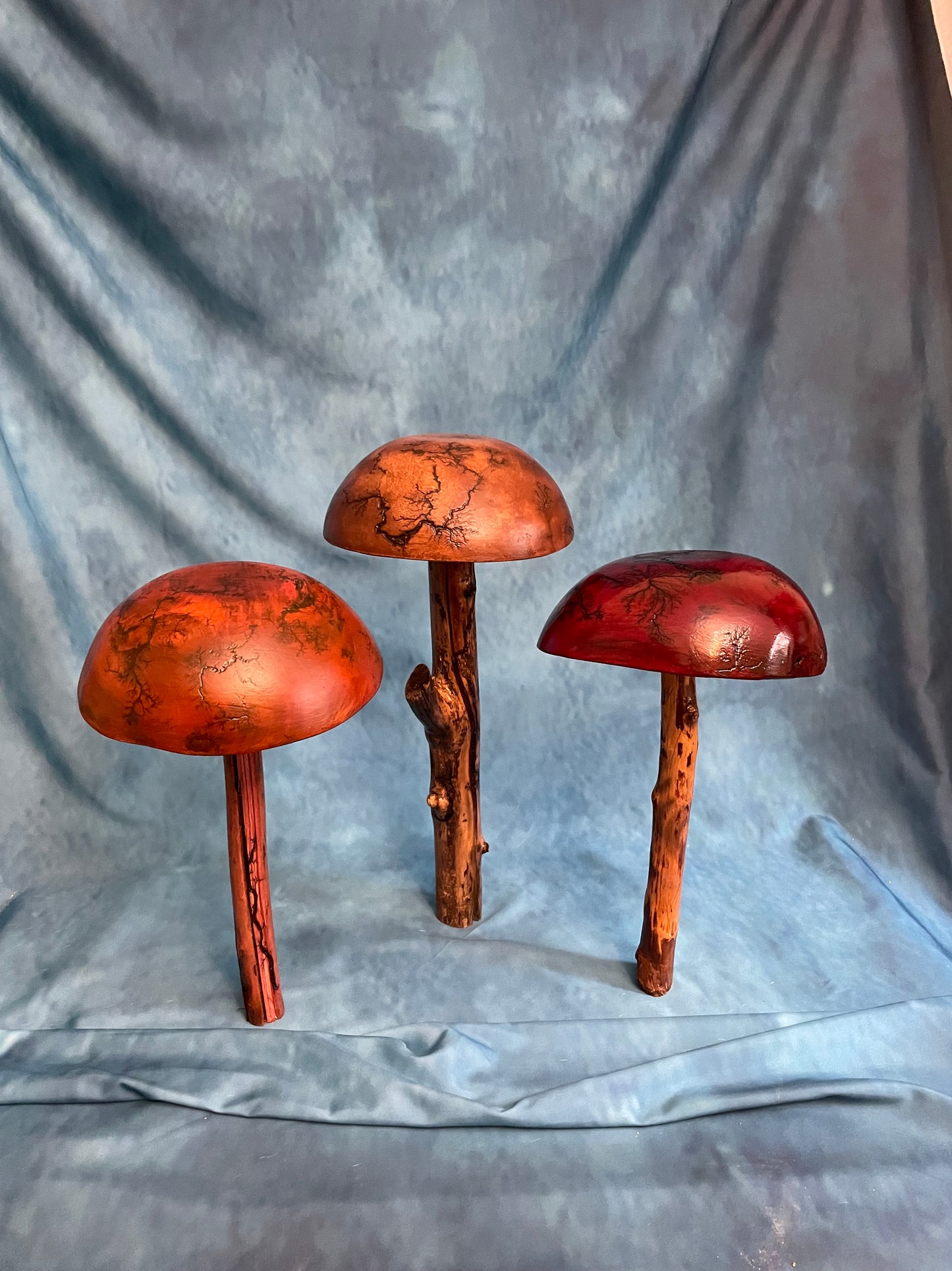 Teak Mushroom