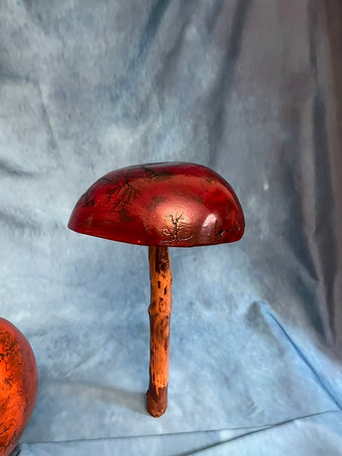 Teak Mushroom