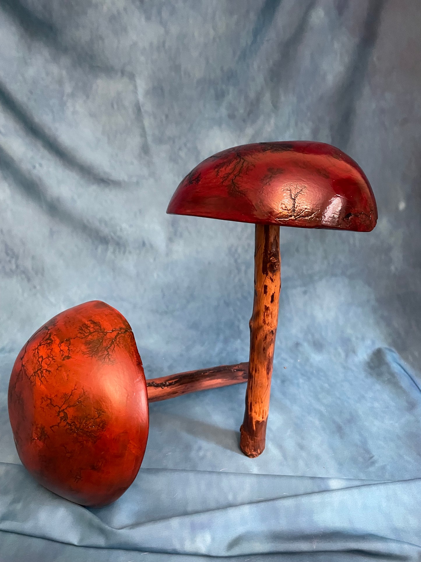 Teak Mushroom