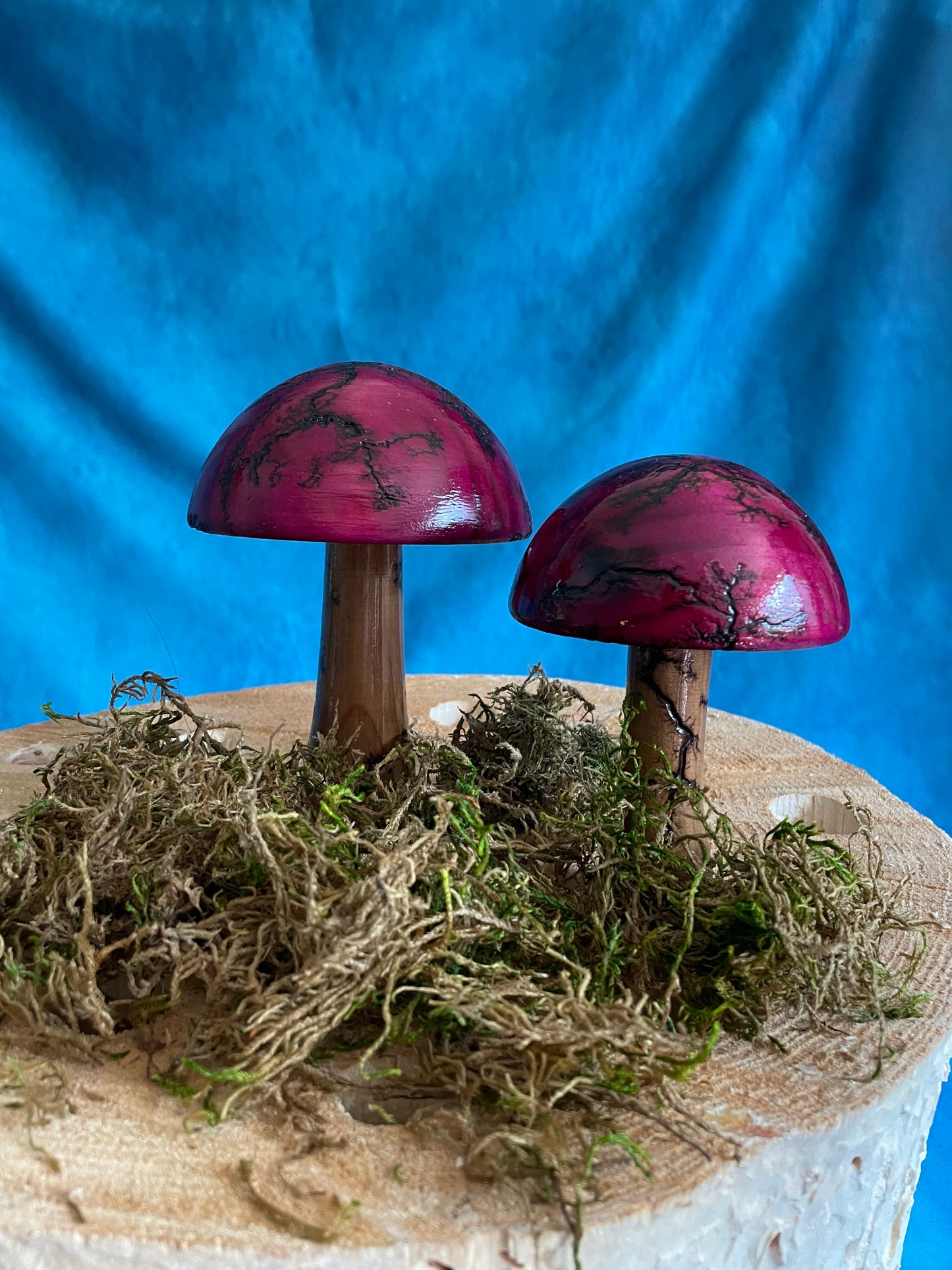 Mushrooms (Indoor/Outdoor)