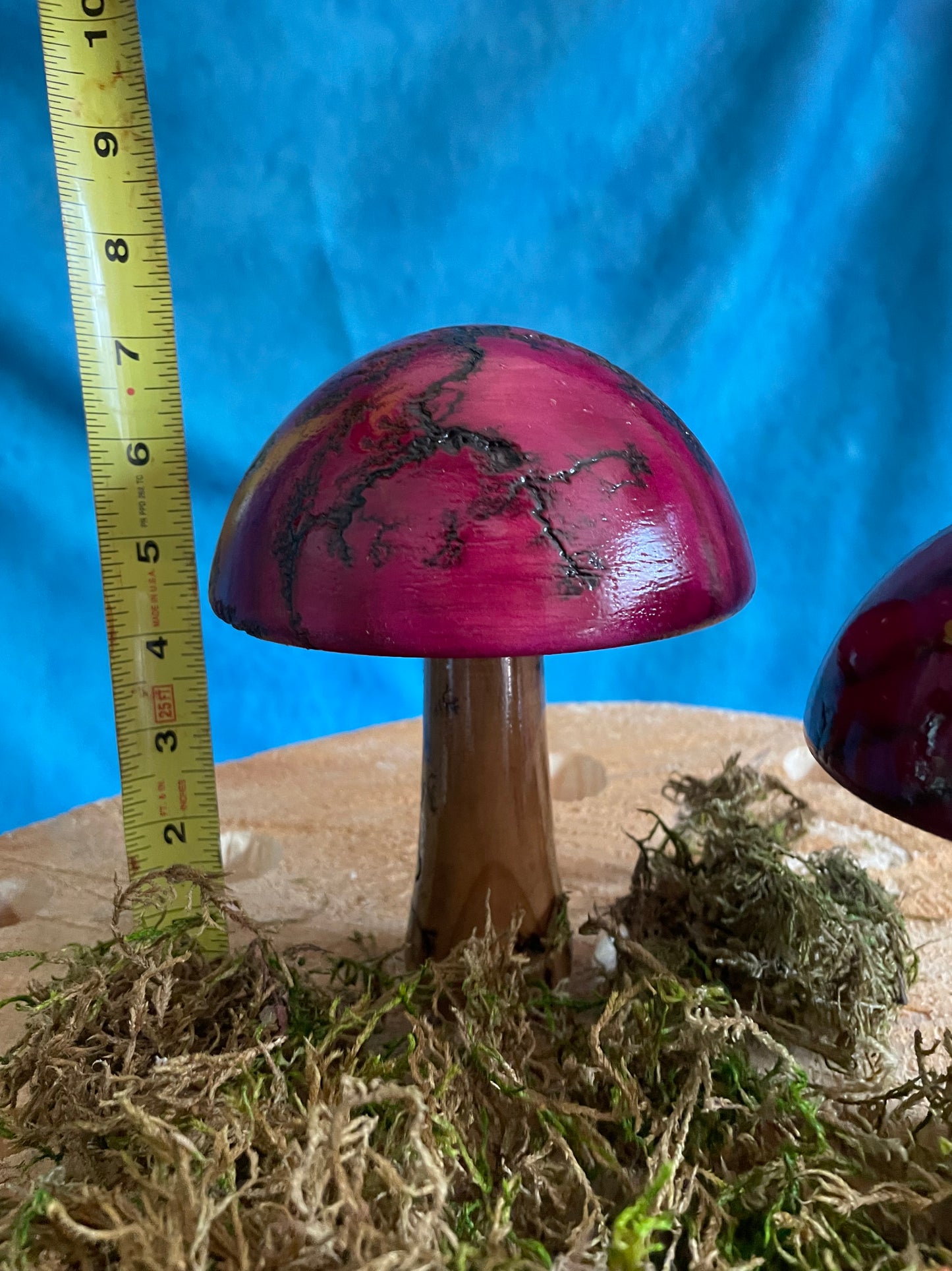 Mushrooms (Indoor/Outdoor)