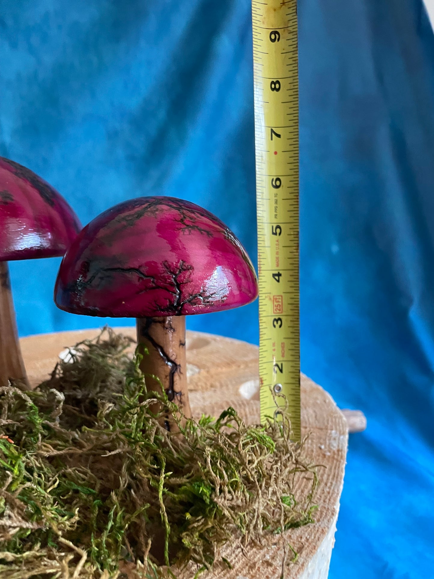 Mushrooms (Indoor/Outdoor)