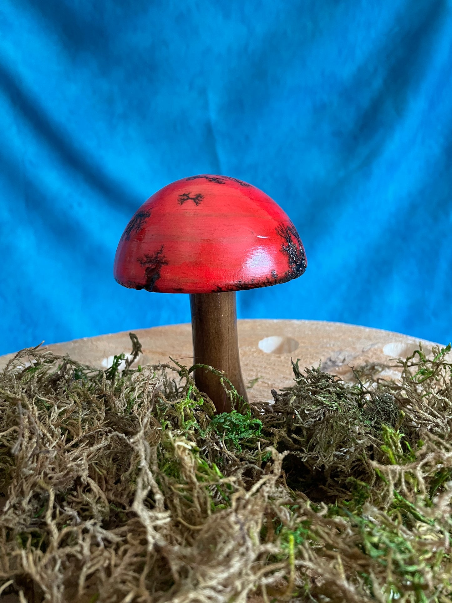 Mushrooms (Indoor/Outdoor)