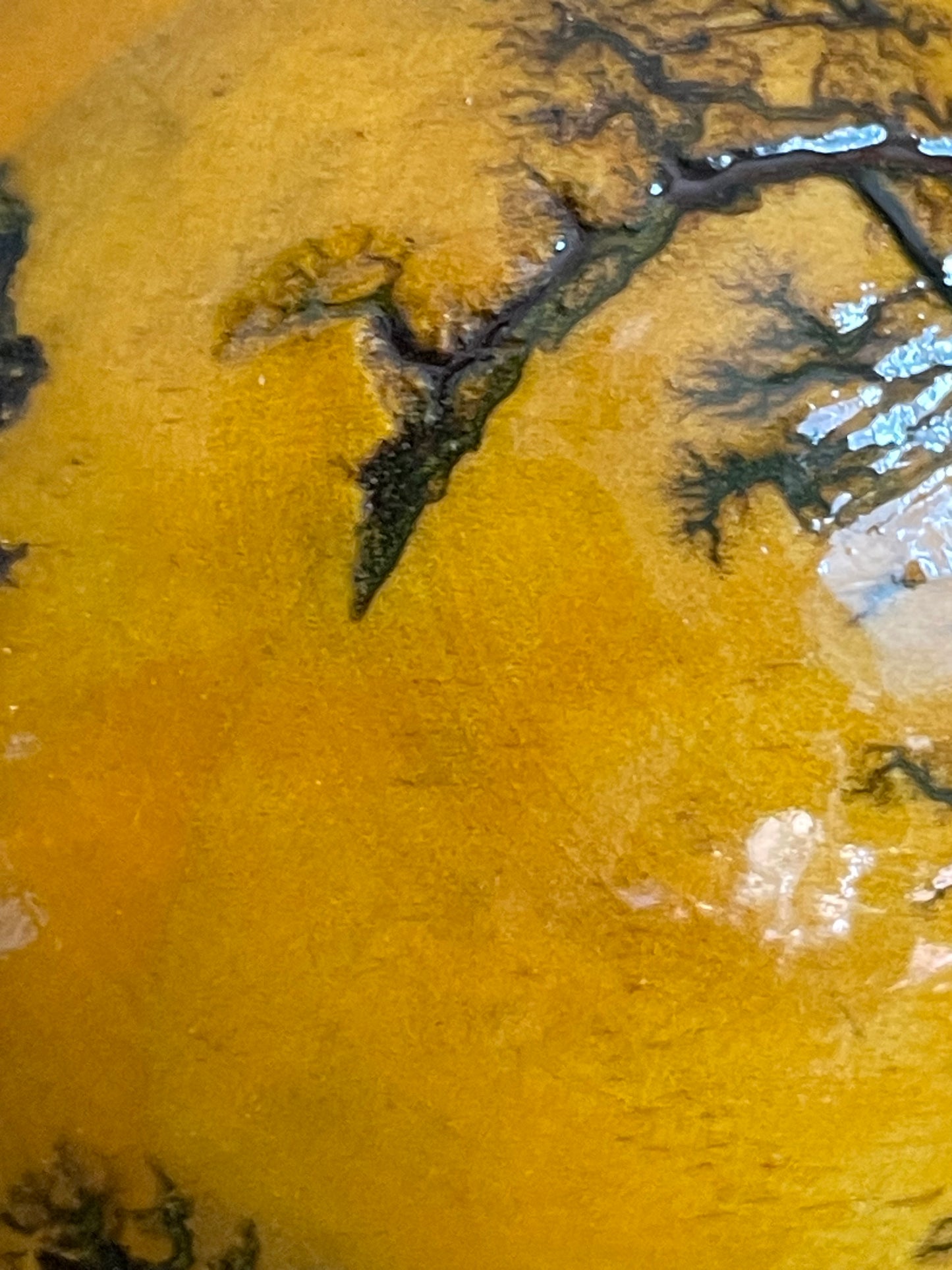 Mushrooms (Indoor/Outdoor)