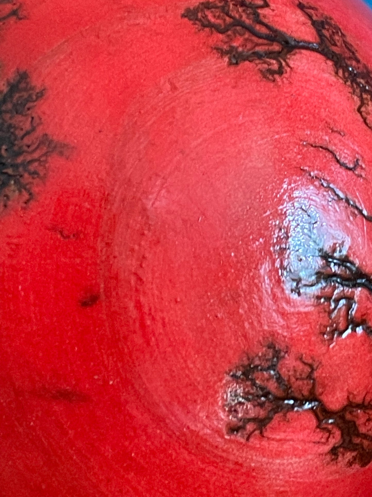 Mushrooms (Indoor/Outdoor)