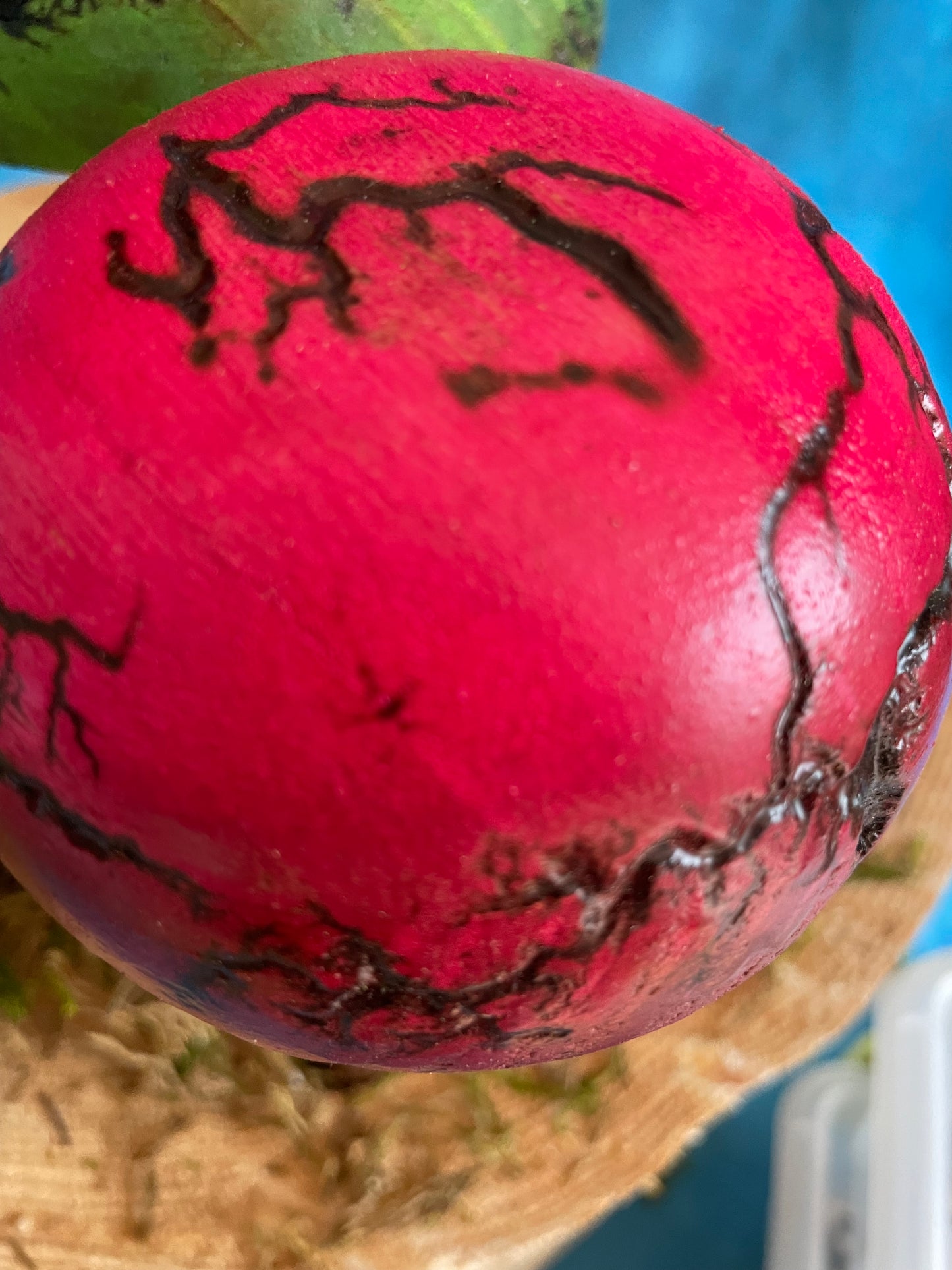 Mushrooms (Indoor/Outdoor)