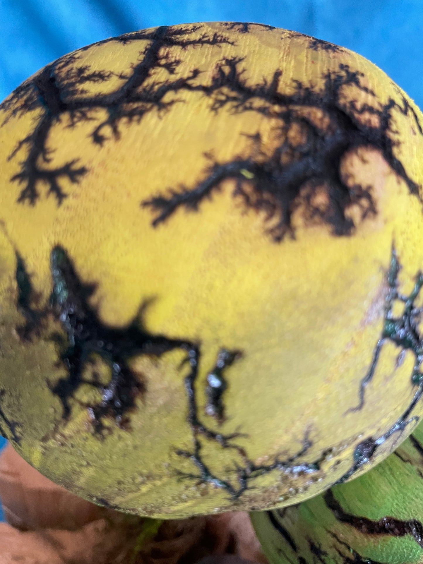 Mushrooms (Indoor/Outdoor)