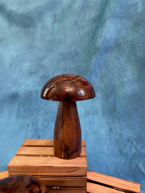 Mushrooms (Indoor/Outdoor)