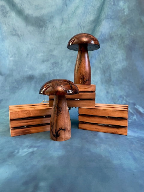 Mushrooms (Indoor/Outdoor)