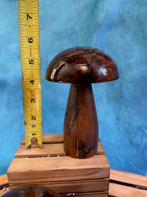 Mushrooms (Indoor/Outdoor)