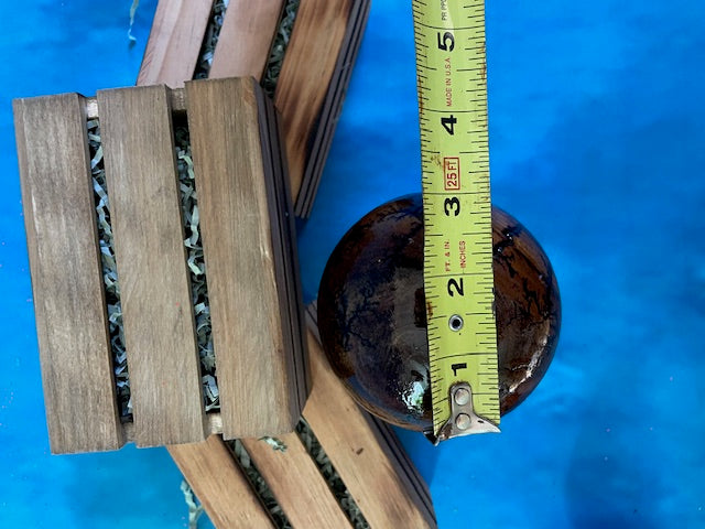 Mushrooms (Indoor/Outdoor)