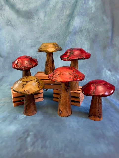 Mushrooms (Indoor/Outdoor)