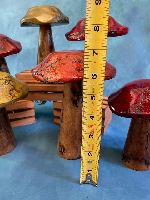 Mushrooms (Indoor/Outdoor)