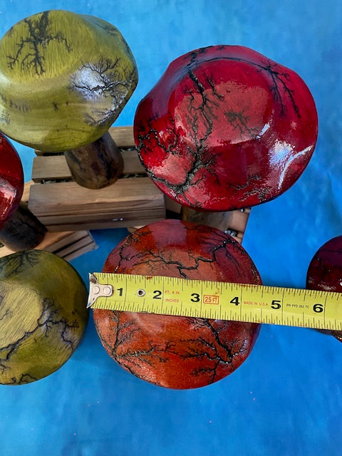 Mushrooms (Indoor/Outdoor)