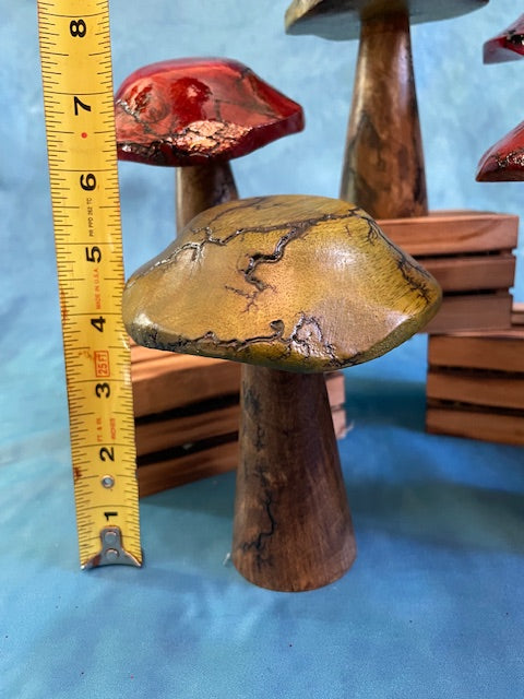 Mushrooms (Indoor/Outdoor)