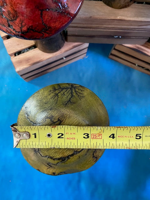 Mushrooms (Indoor/Outdoor)