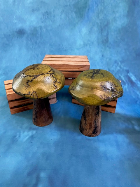 Mushrooms (Indoor/Outdoor)