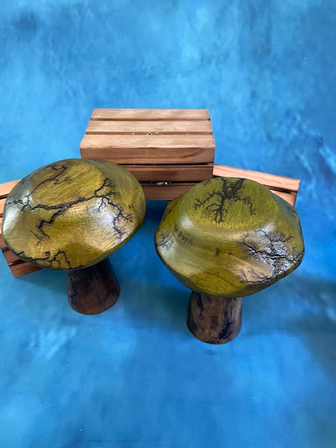 Mushrooms (Indoor/Outdoor)