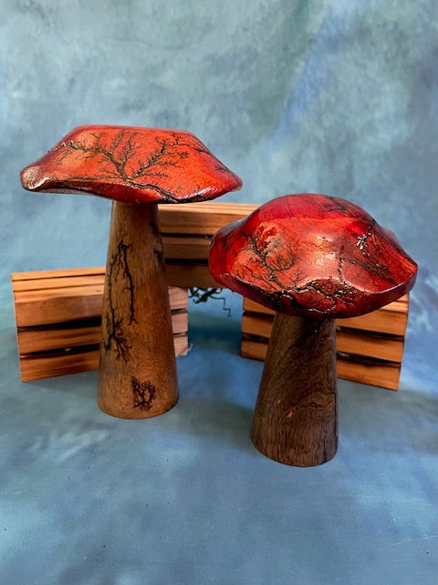 Mushrooms (Indoor/Outdoor)