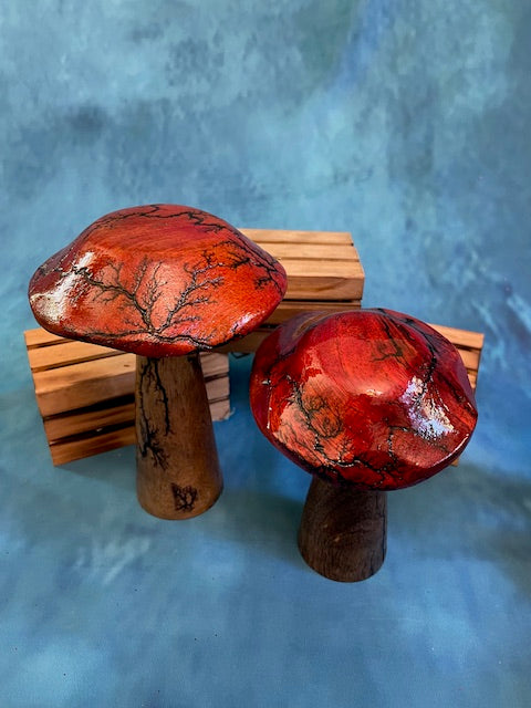 Mushrooms (Indoor/Outdoor)