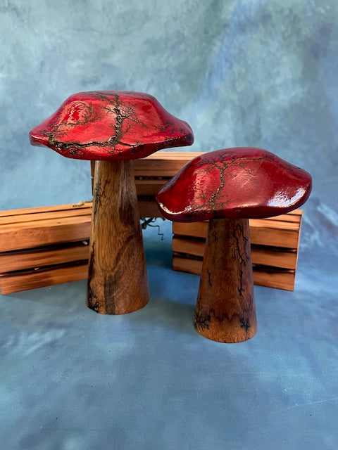 Mushrooms (Indoor/Outdoor)