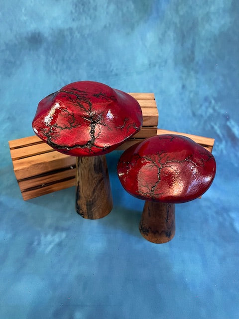 Mushrooms (Indoor/Outdoor)