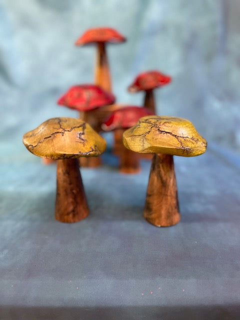 Mushrooms (Indoor/Outdoor)