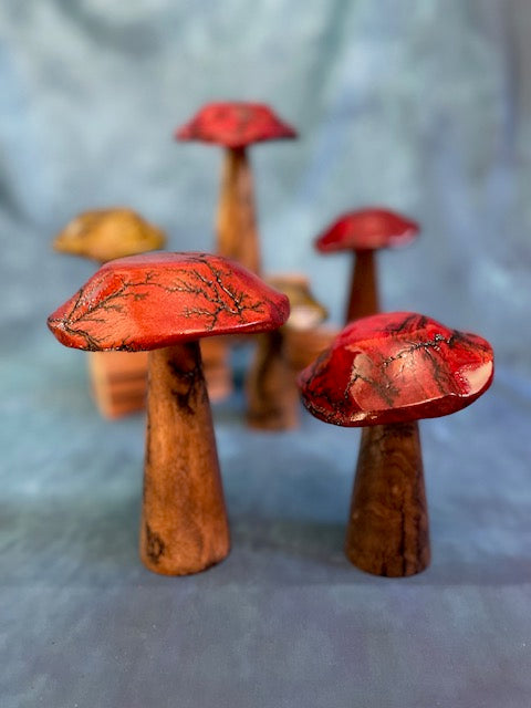 Mushrooms (Indoor/Outdoor)