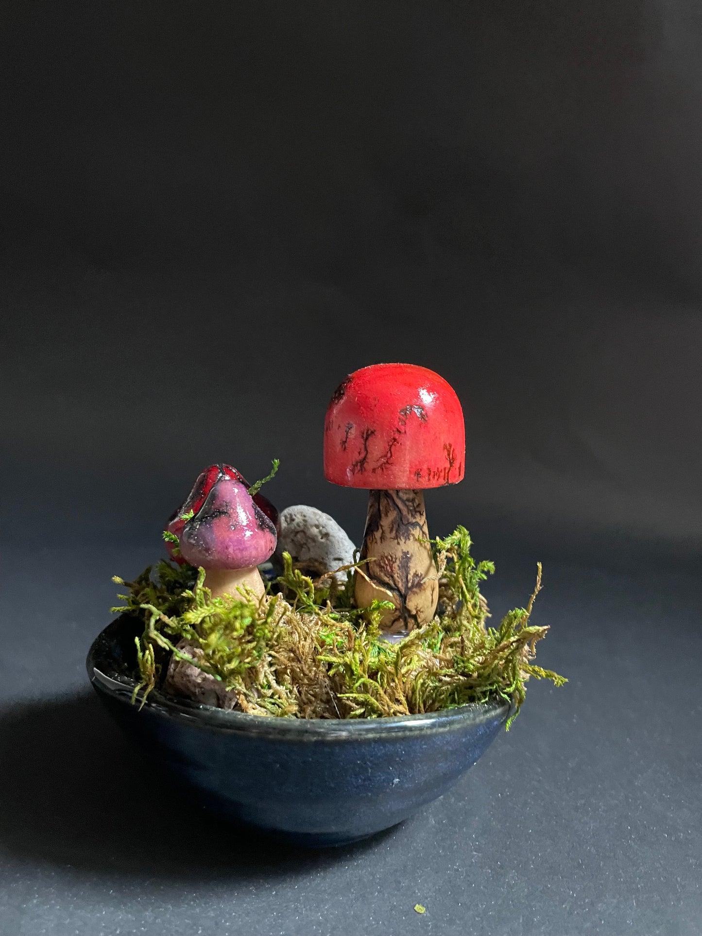 Mushrooms (Indoor/Outdoor)