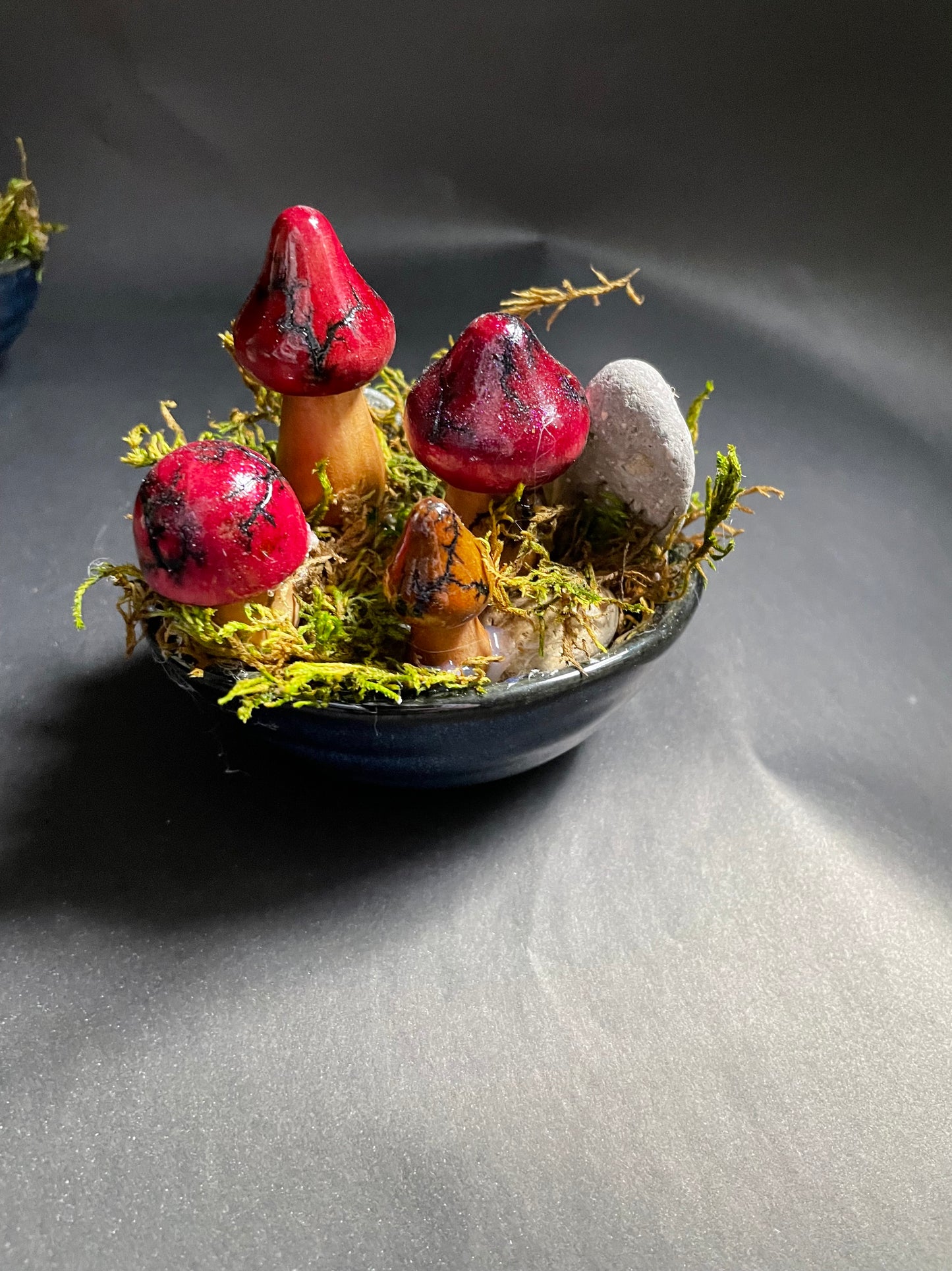 Mushrooms (Indoor/Outdoor)