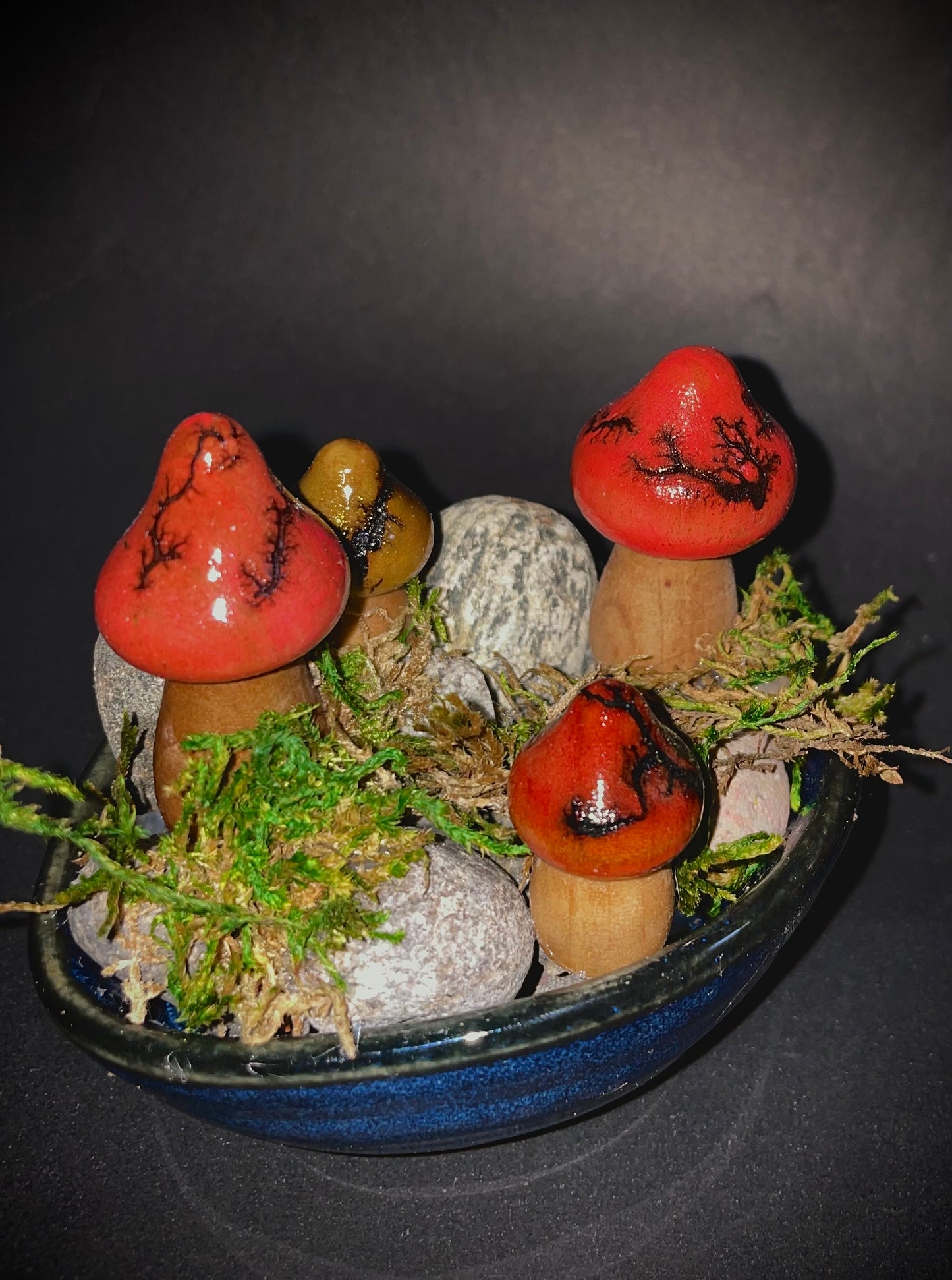 Mushrooms (Indoor/Outdoor)