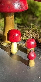 Mushrooms (Indoor/Outdoor)