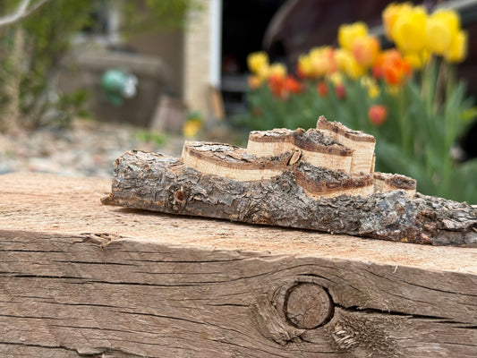 Wood Castles