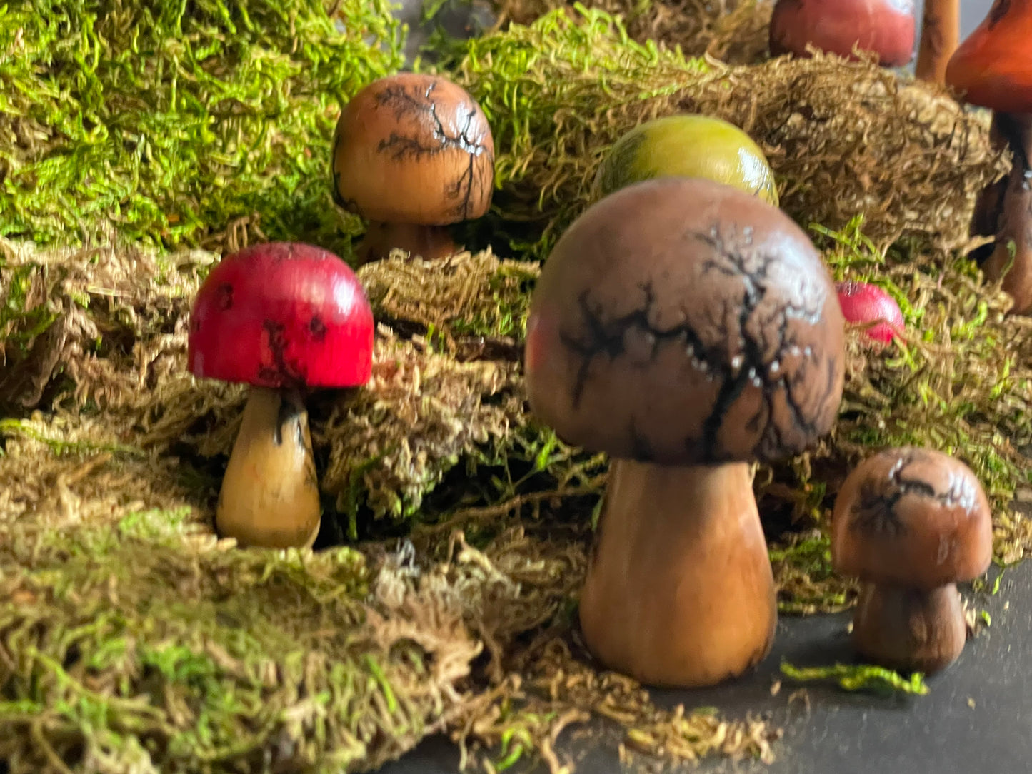 Mushrooms