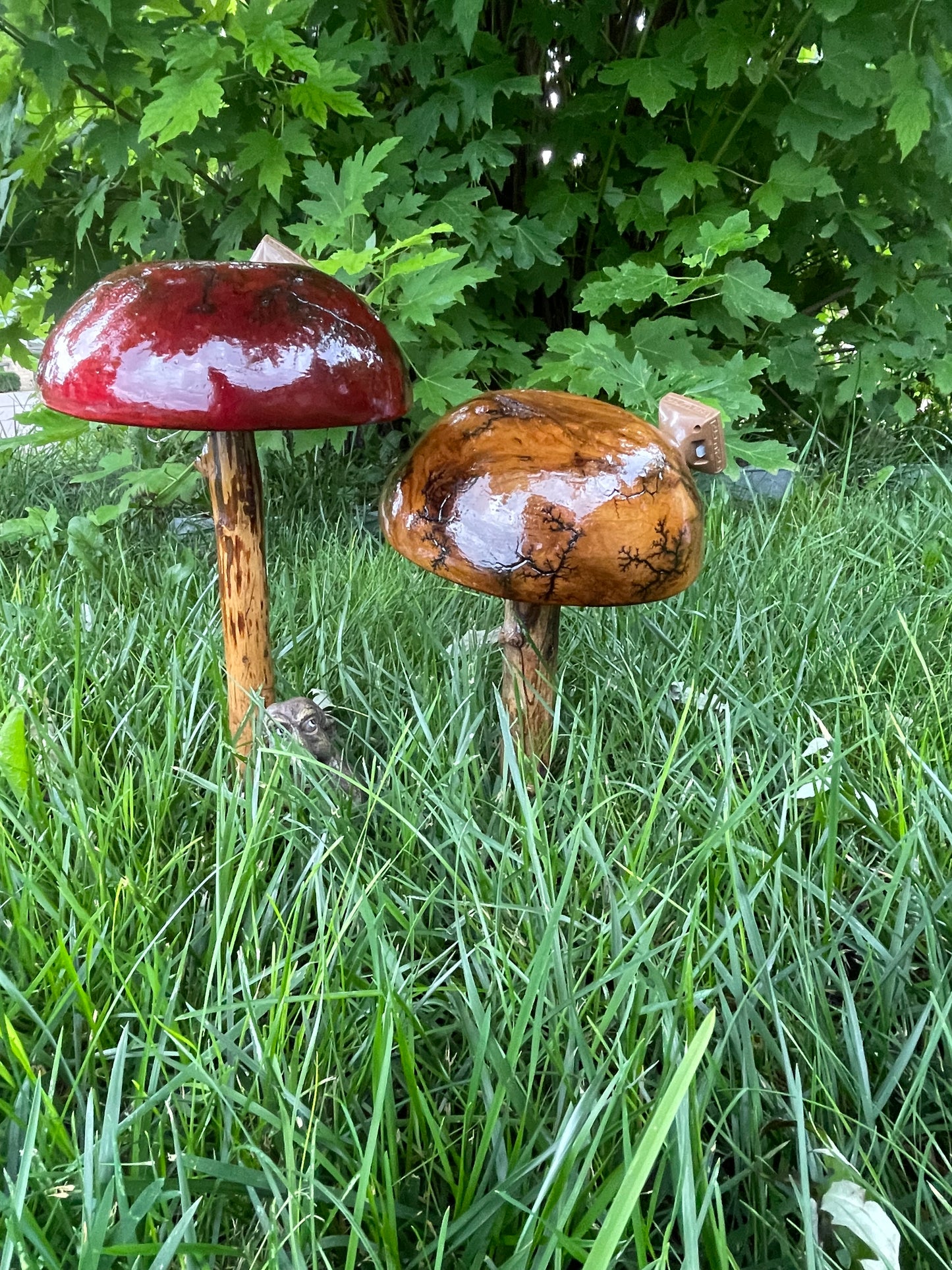 Outdoor Mushroom