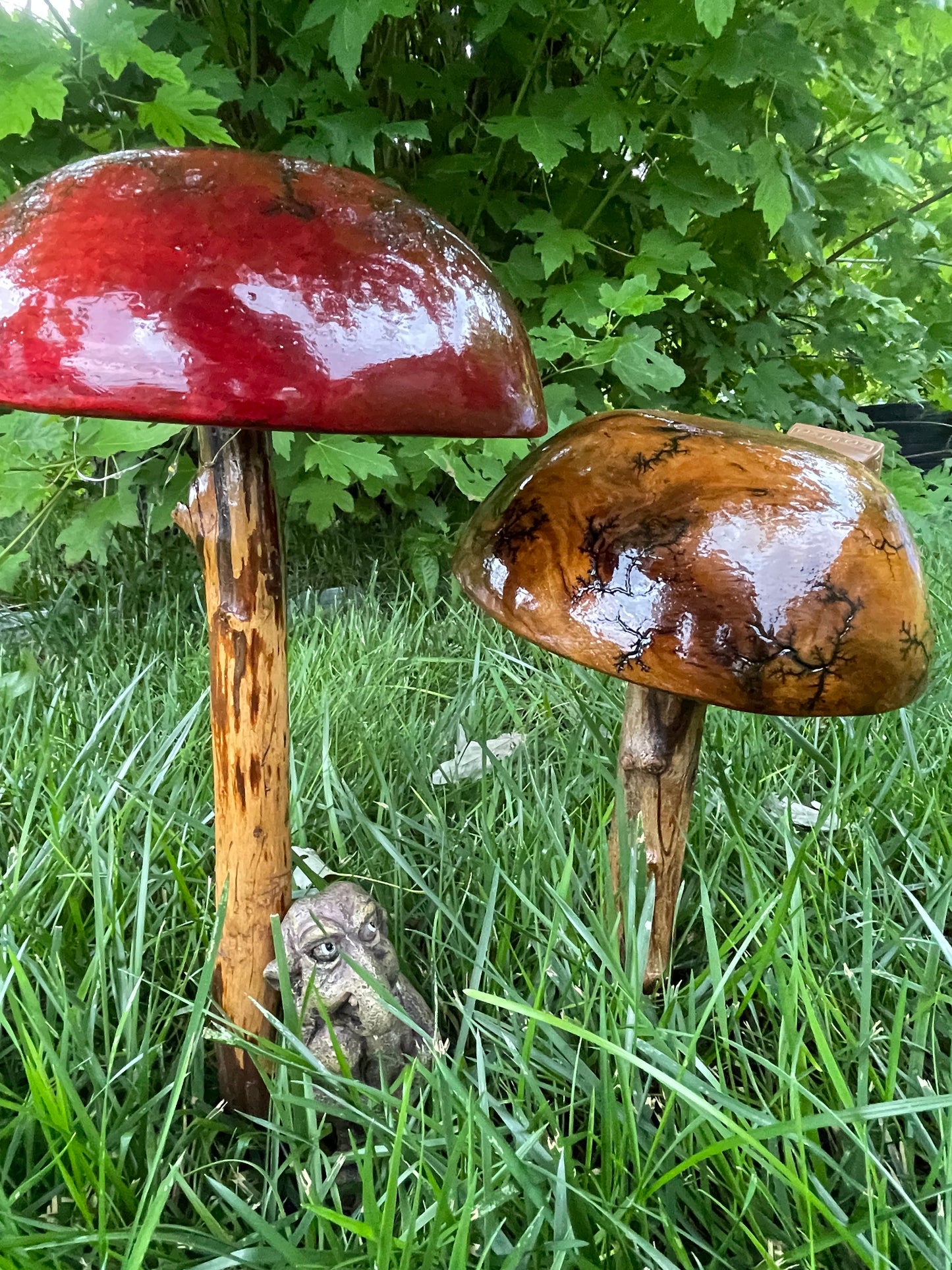 Outdoor Mushroom