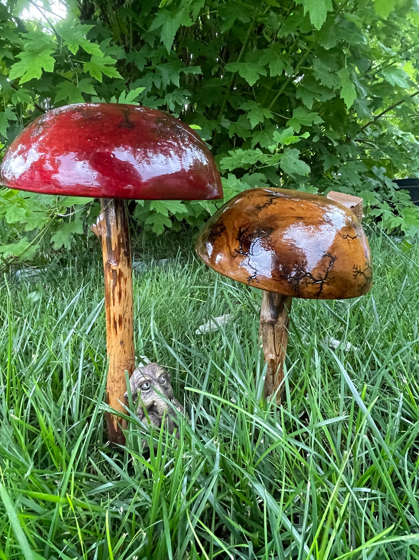 Outdoor Mushroom