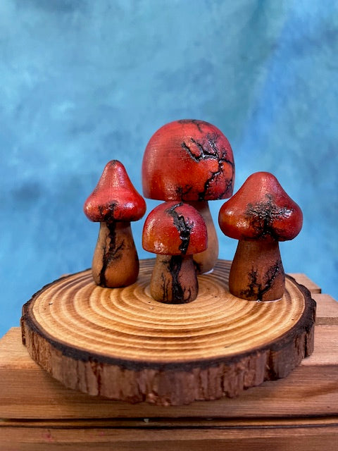 Mushrooms