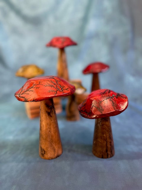 Mushrooms